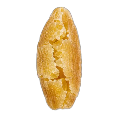 Bulgur grain