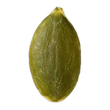 Pumpkin seed kernel
