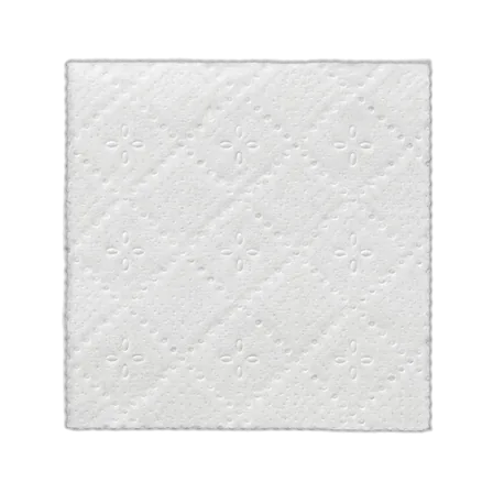 Square of toilet paper
