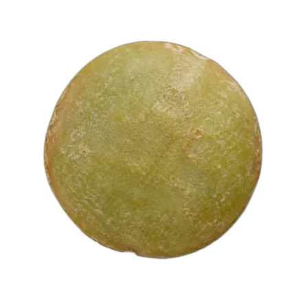Green lentil