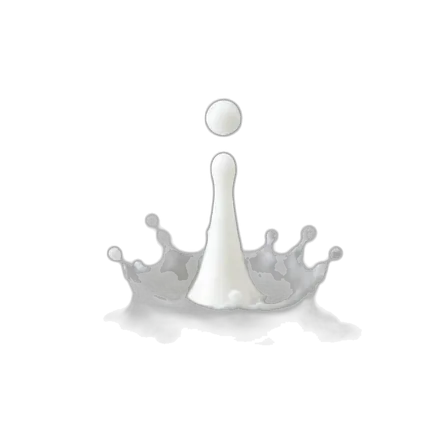 Drop of milk