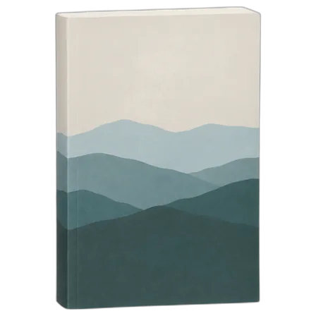 Paperback novel
