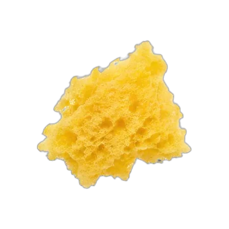 Sponge crumb (0.1 mg)