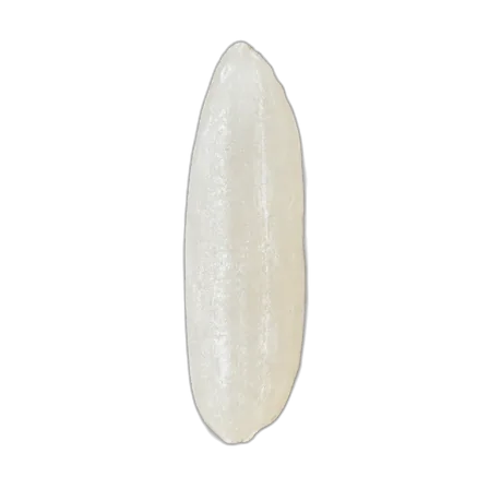 Grain of long-grain rice