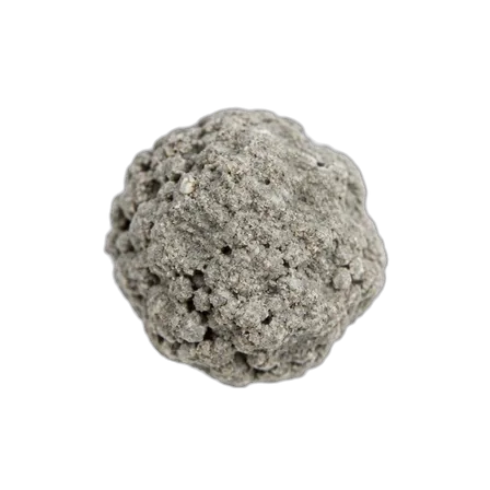 Grain of cat litter