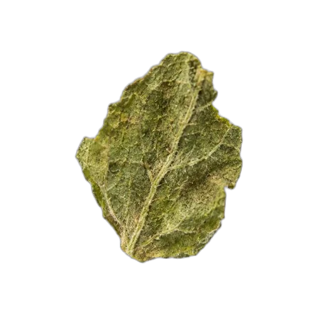 Dried oregano flake
