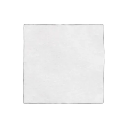 Parchment scrap (1 cm²)